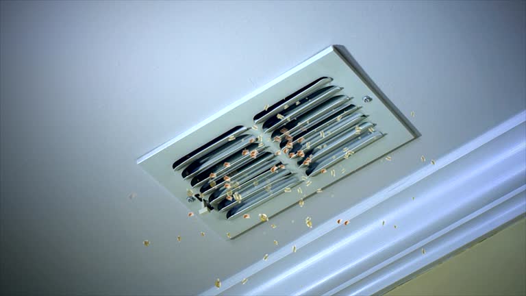 Best Air Duct Cleaning Near Me  in Zimmerman, MN