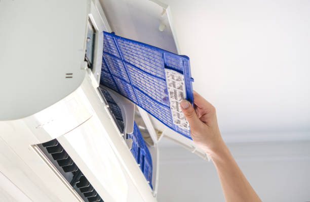 Best Air Duct Mold Removal  in Zimmerman, MN