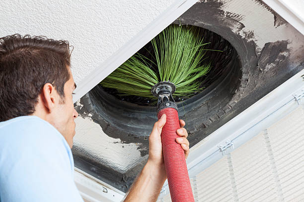 Best HVAC Duct Inspection Services  in Zimmerman, MN